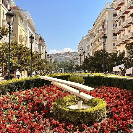 Olyra